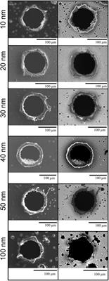 Palladium-coated kapton for use on dust detectors in low earth orbit: Performance under hypervelocity impact and atomic oxygen exposure